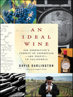 cover image of An Ideal Wine